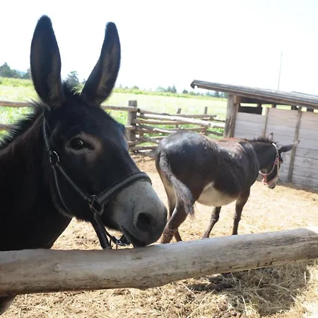 Sol De Montalto Feriegård