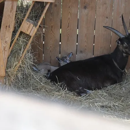 Feriegård Sol De Montalto *