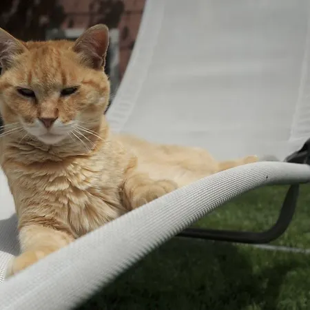 Feriegård Sol De Montalto