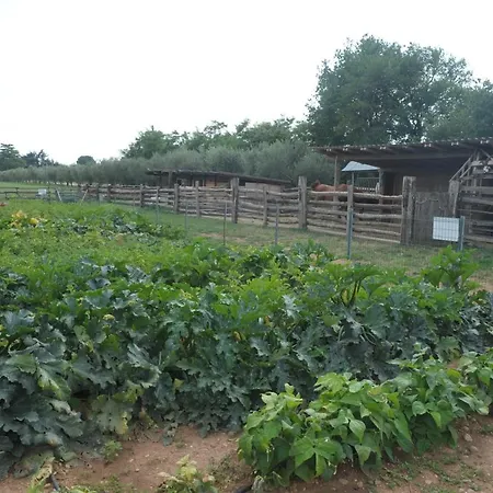 Sol De Montalto Rivoli Veronese