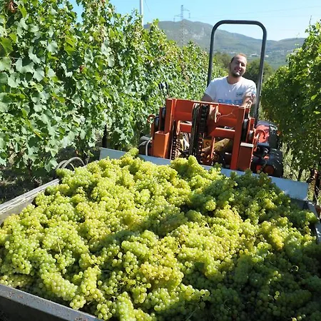 Sol De Montalto Rivoli Veronese