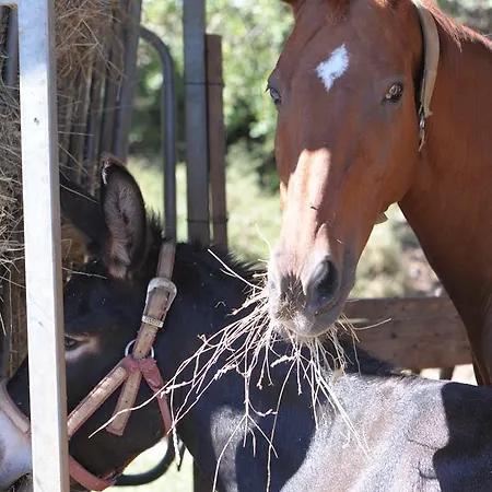 Séjour à la ferme Sol De Montalto *