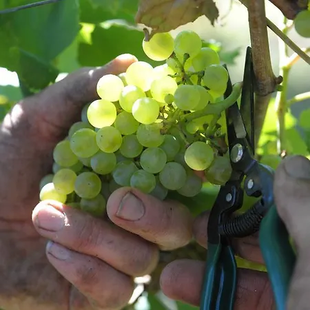 Sol De Montalto * Rivoli Veronese