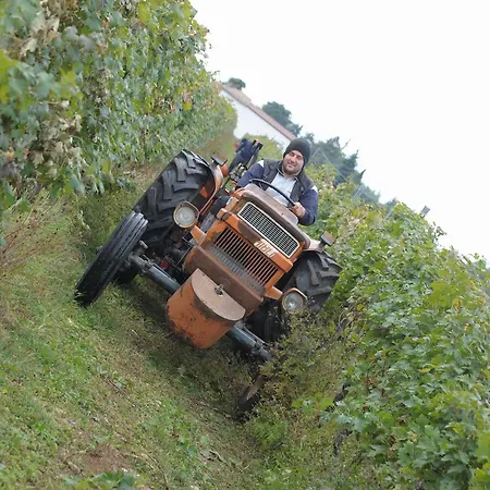 Sol De Montalto * Rivoli Veronese