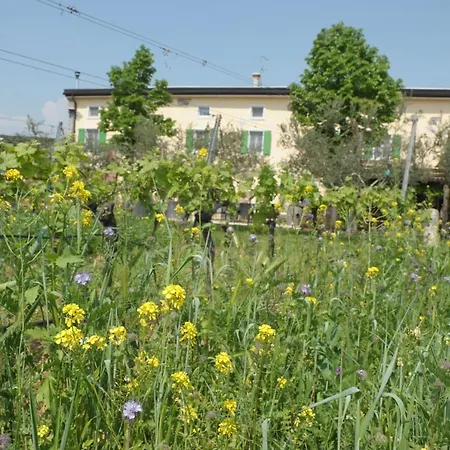 Sol De Montalto Farma