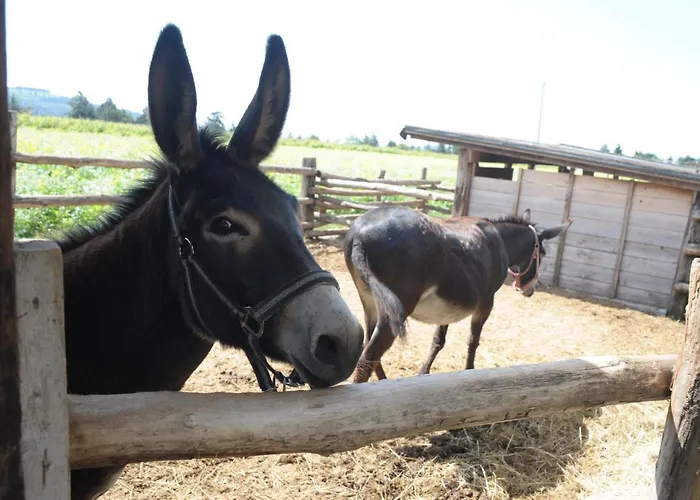 Sol De Montalto Фермерский дом