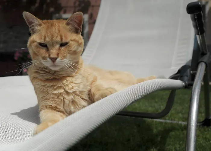 Фермерский дом Sol De Montalto