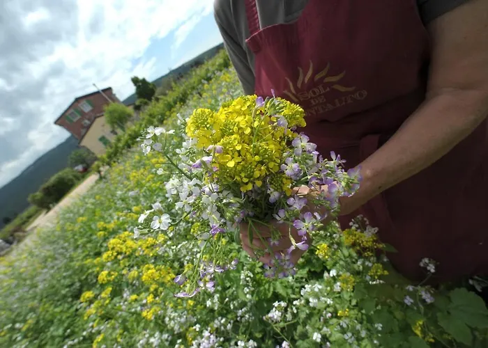 Sol De Montalto Фермерский дом Rivoli Veronese