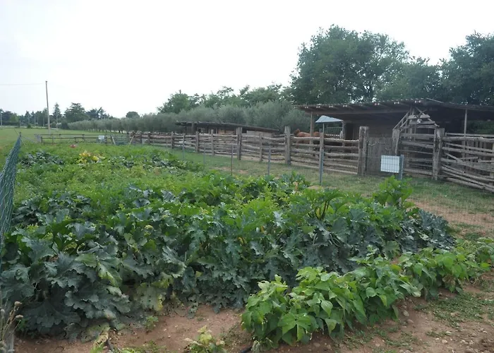 Sol De Montalto Rivoli Veronese