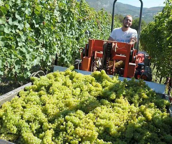 Sol De Montalto Rivoli Veronese