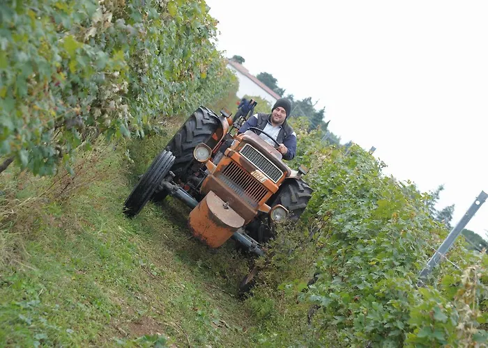 Sol De Montalto * Rivoli Veronese