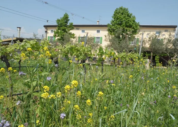 Sol De Montalto Фермерский дом