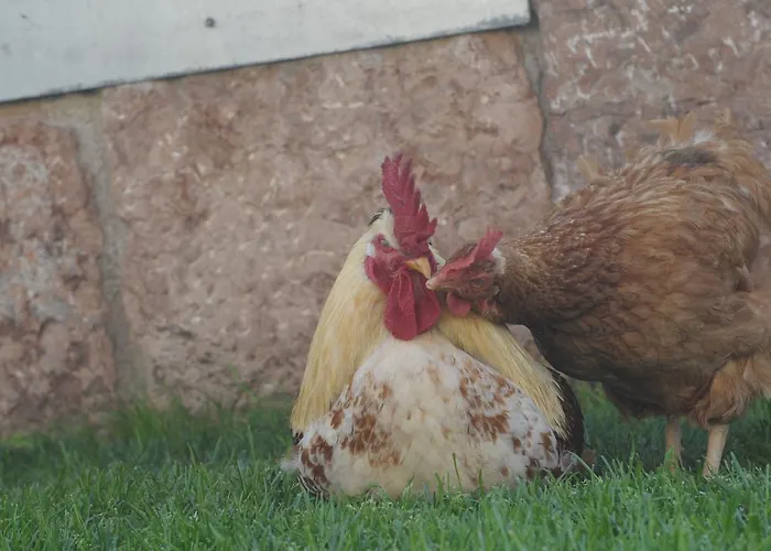 Фермерский дом Sol De Montalto Rivoli Veronese